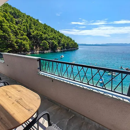 Robinson Edita 招待所 3*